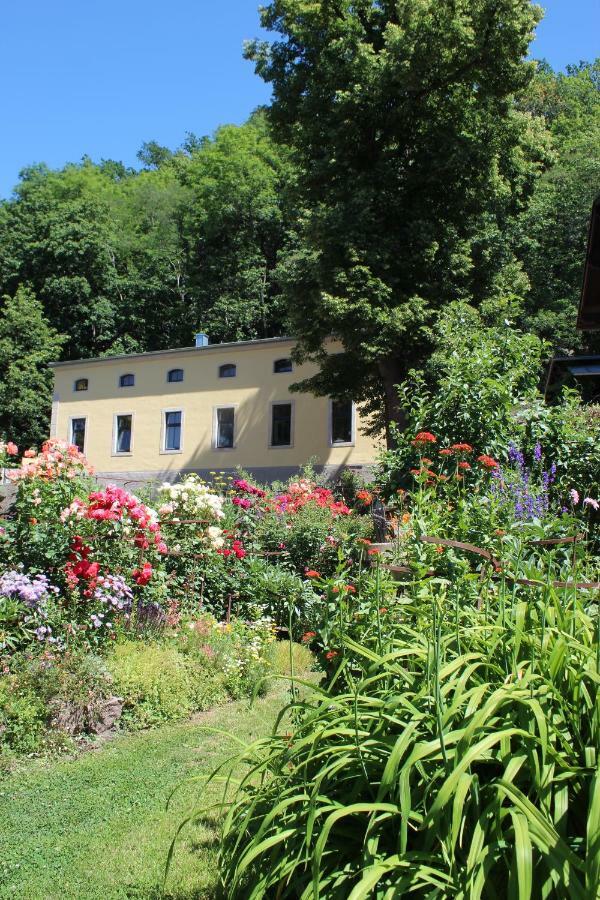 Ferienwohnung Goldgrund Meissen Exterior photo